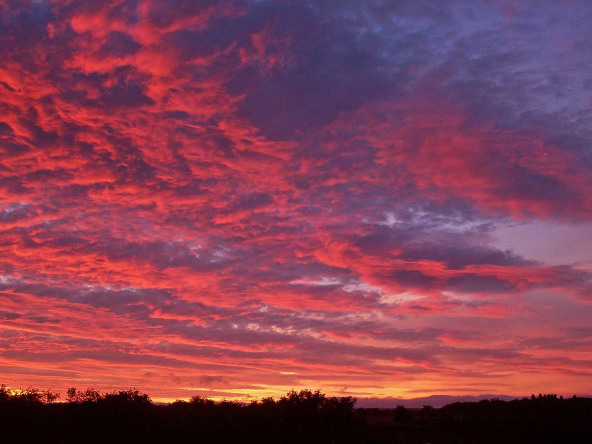 Meadow View Kington (Herefordshire) Bagian luar foto